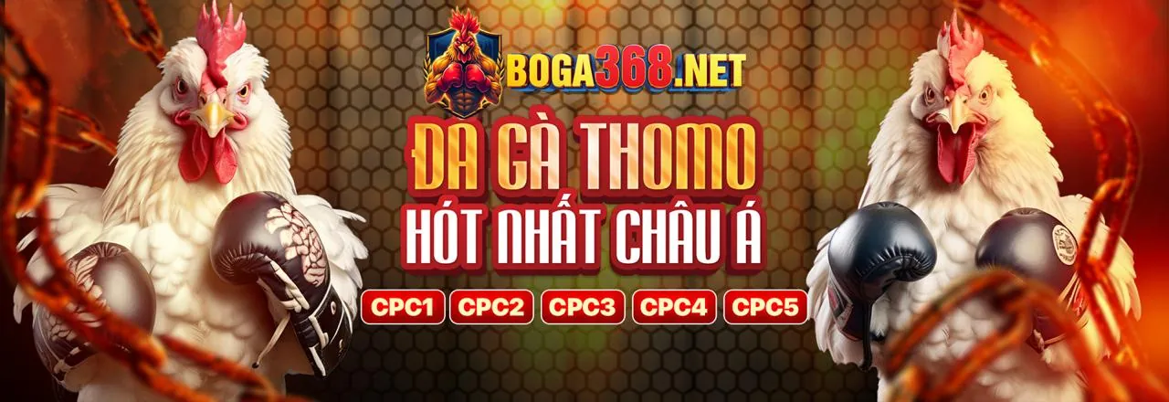 Tổng quan phương thức thanh toán G28 Bet
