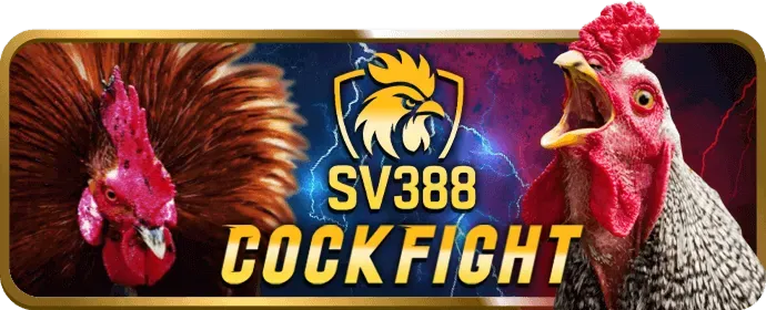 Cá cược bóng rổ tại g28 bet