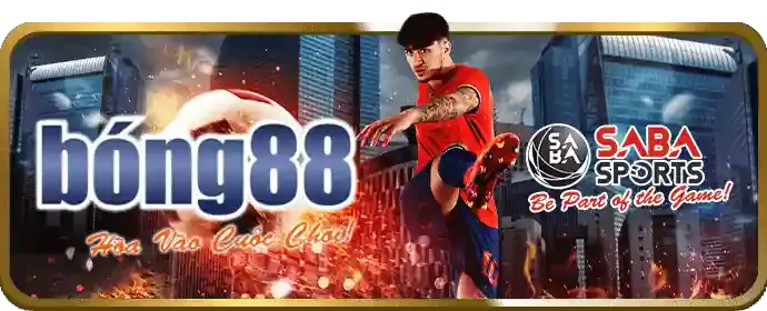 Cá cược bóng đá tại g28 bet